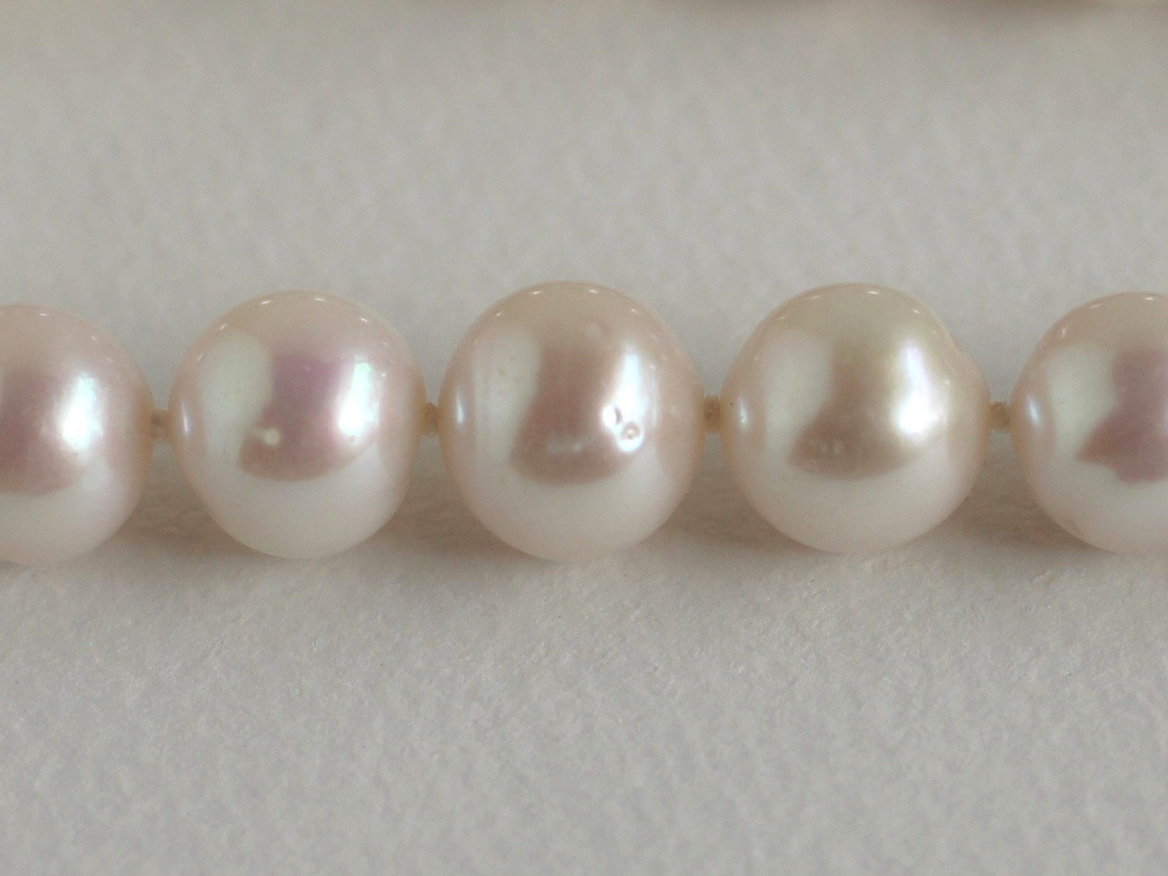 オールナット(オールノット)