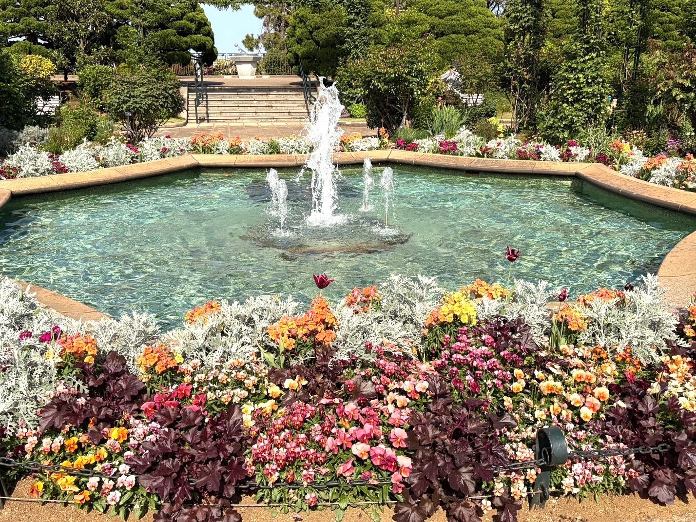 公園に咲く花々