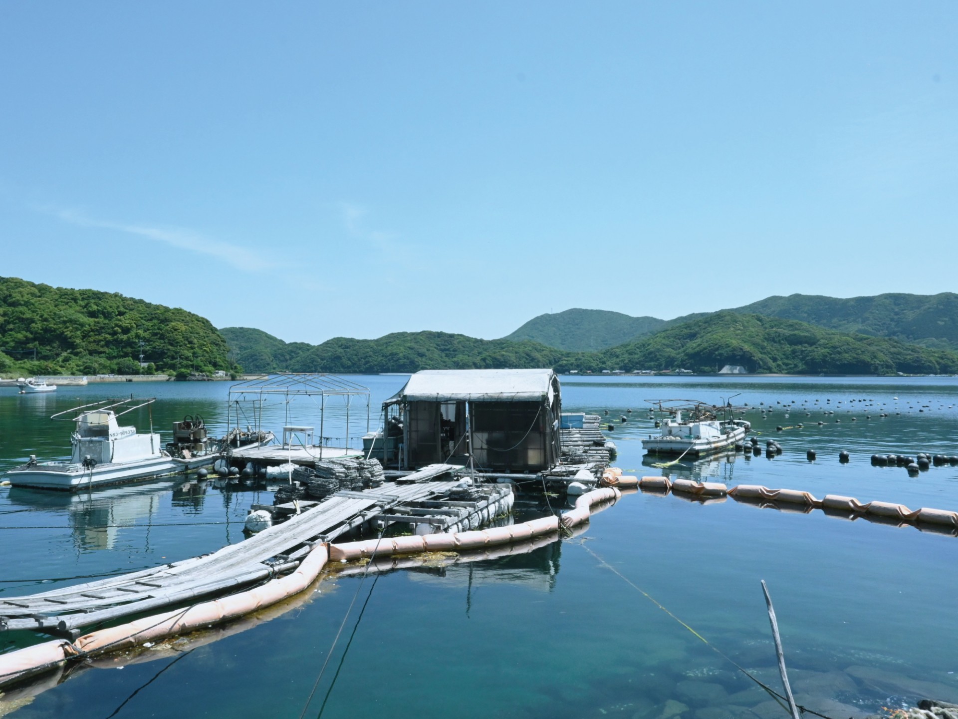 パール養殖場